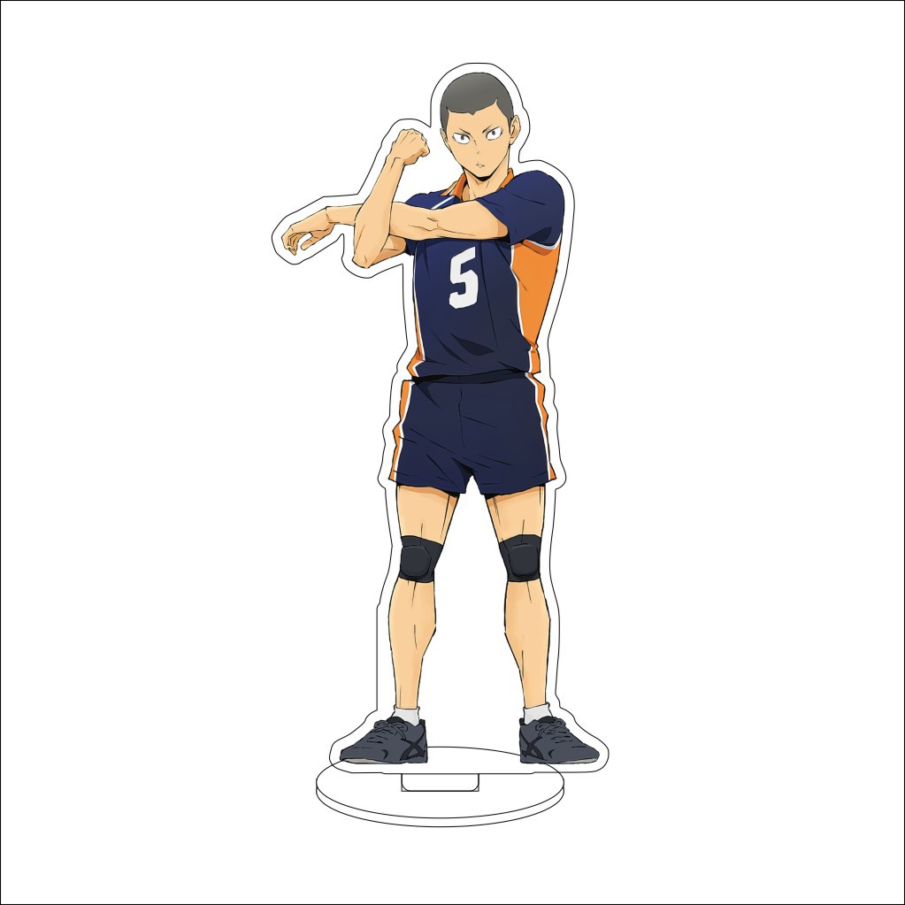 16CM Anime Haikyuu Sugawara Kō - Merchandise Anime recensie en prijs